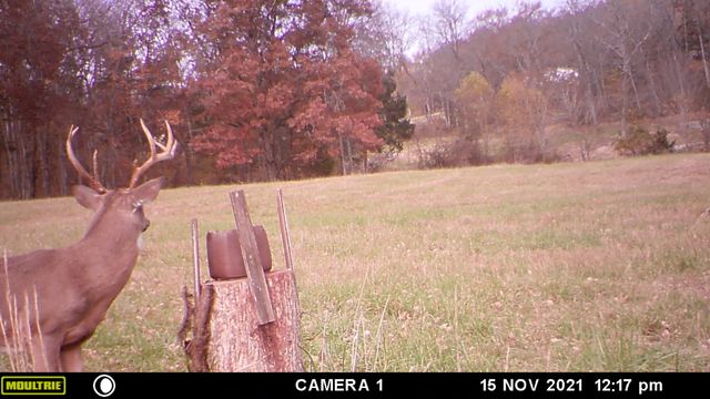 935 Comer Road, Lascassas, TN 37085