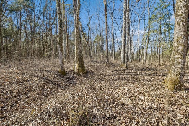 935 Comer Road, Lascassas, TN 37085