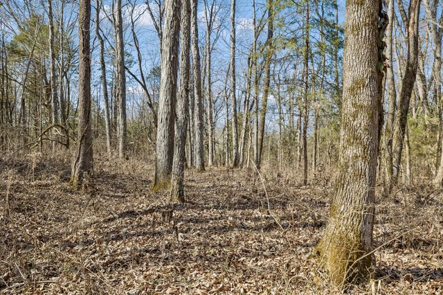 935 Comer Road, Lascassas, TN 37085