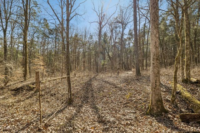 935 Comer Road, Lascassas, TN 37085