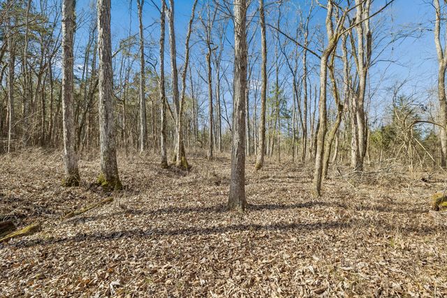 935 Comer Road, Lascassas, TN 37085