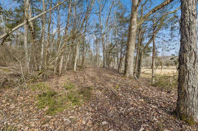 935 Comer Road, Lascassas, TN 37085