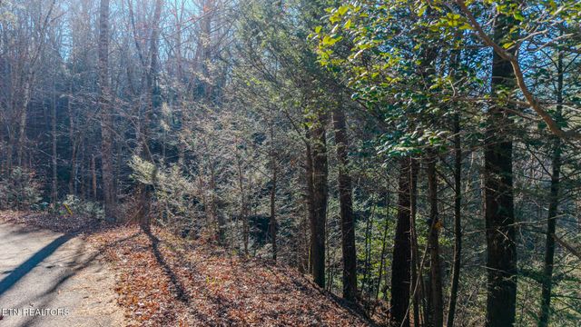 Shady Grove Court, Sevierville, TN 37876