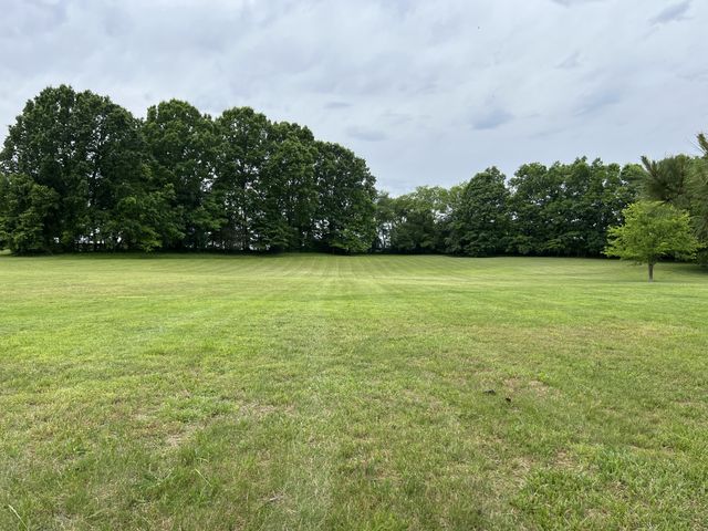 990 Bugscuffle Rd, Wartrace, TN 37183