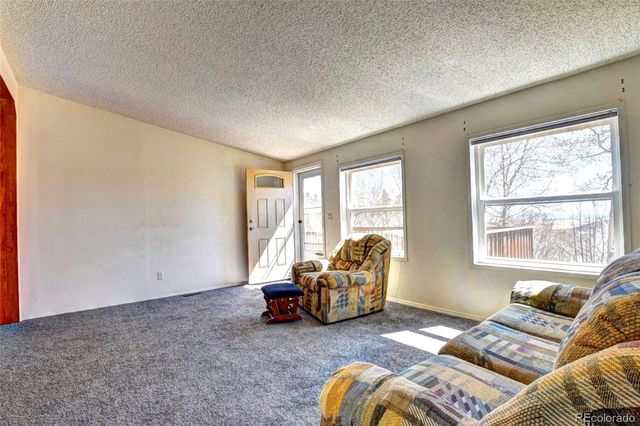 605 Lamb Mountain Road, Fairplay, CO 80440
