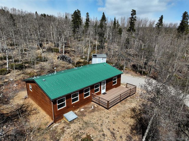 605 Lamb Mountain Road, Fairplay, CO 80440