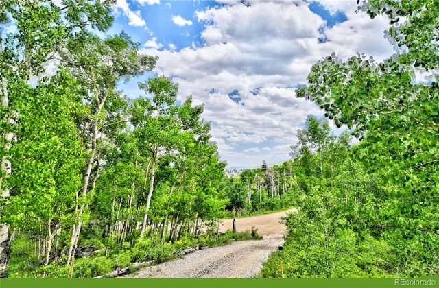 605 Lamb Mountain Road, Fairplay, CO 80440