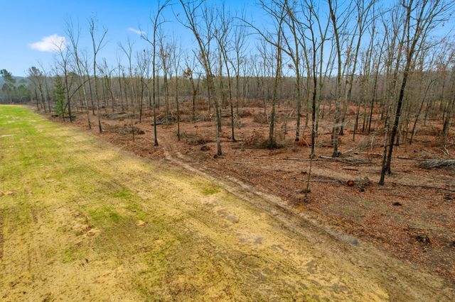 0 Whitaker Lane, Belvidere, TN 37306