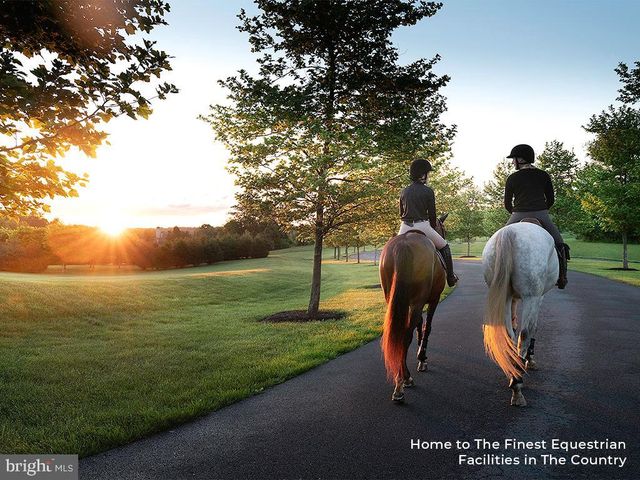 505 MARTINGALE RIDGE DR, Middleburg, VA 20117