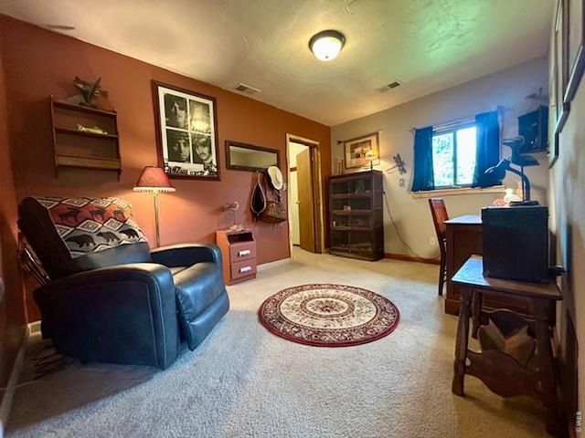 1746 Lump Gulch Rd, Black Hawk, CO 80422