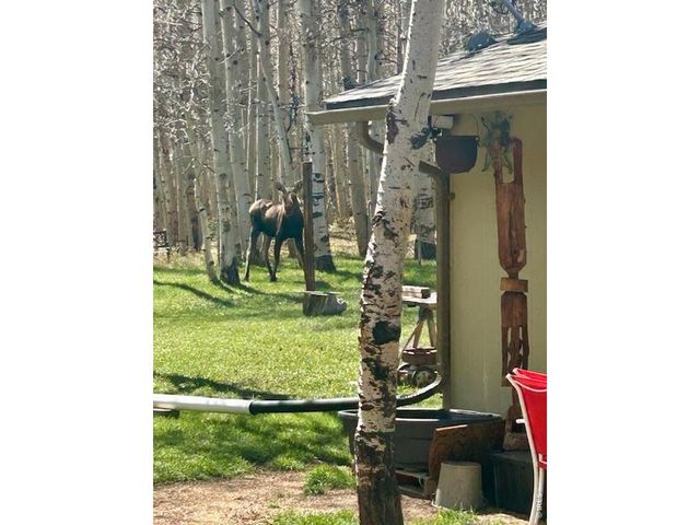 1746 Lump Gulch Rd, Black Hawk, CO 80422