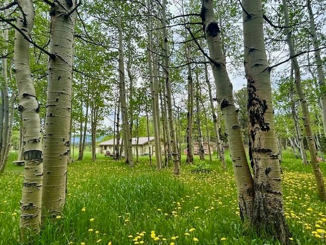 1746 Lump Gulch Rd, Black Hawk, CO 80422