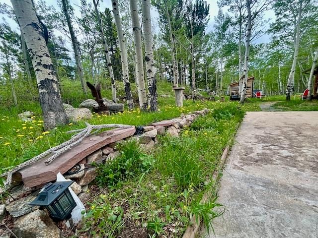 1746 Lump Gulch Rd, Black Hawk, CO 80422