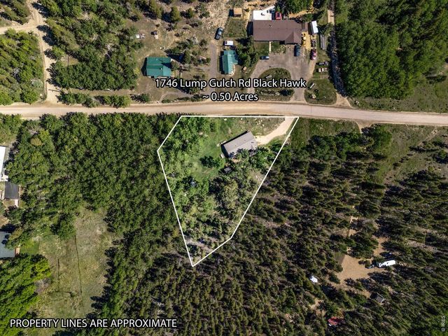 1746 Lump Gulch Rd, Black Hawk, CO 80422
