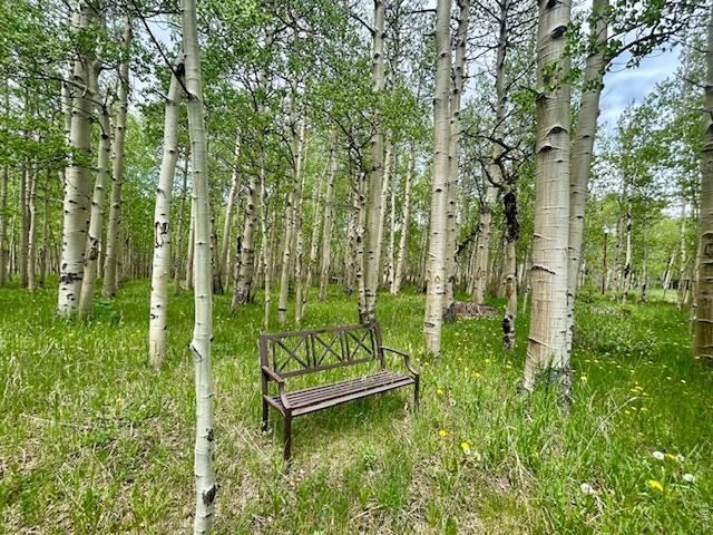 1746 Lump Gulch Rd, Black Hawk, CO 80422