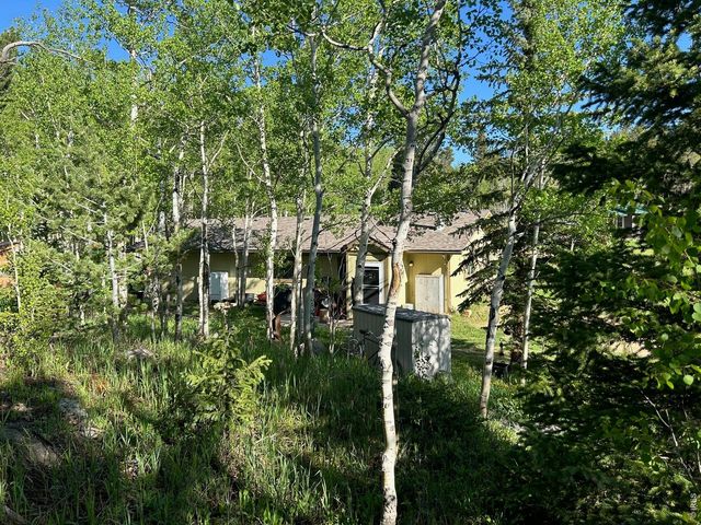 1746 Lump Gulch Rd, Black Hawk, CO 80422