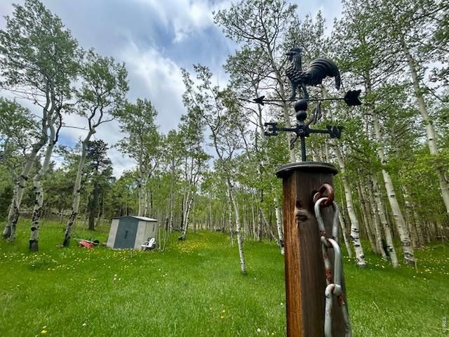1746 Lump Gulch Rd, Black Hawk, CO 80422