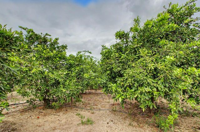 8066 Larkin Rd, Live Oak, CA 95953