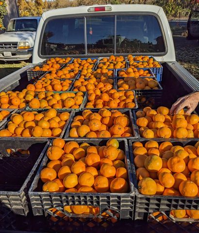 8066 Larkin Rd, Live Oak, CA 95953