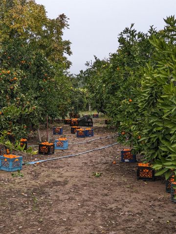 8066 Larkin Rd, Live Oak, CA 95953