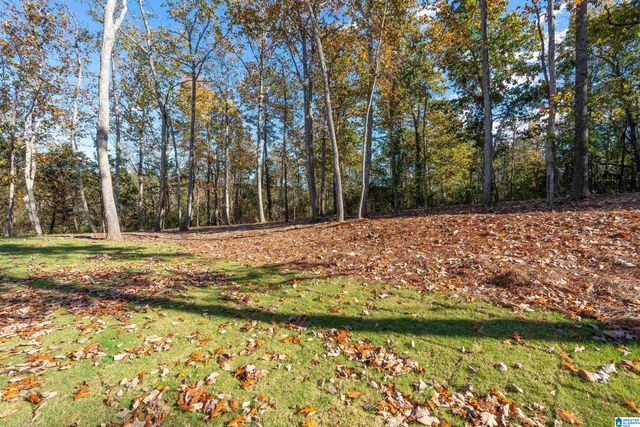 7000 CHULA VISTA WAY, Trussville, AL 35173