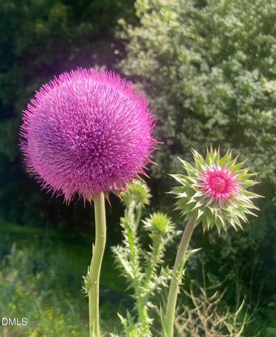 6202 Montgomery Estates Road, Hillsborough, NC 27278