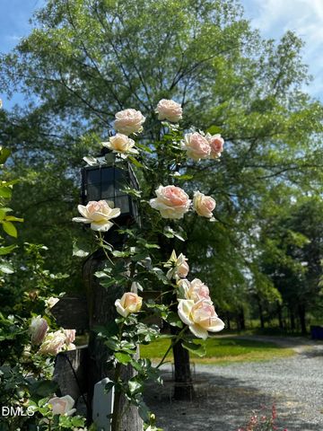 6202 Montgomery Estates Road, Hillsborough, NC 27278