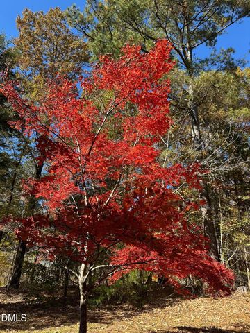 6202 Montgomery Estates Road, Hillsborough, NC 27278