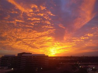 5200 Keller Springs Road 1125, Dallas, TX 75248