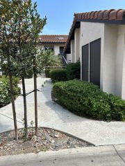 2146 Valleydale Lane, Encinitas, CA 92024