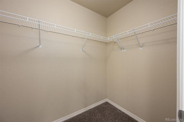 6005 Clarence Drive, Windsor, CO 80550