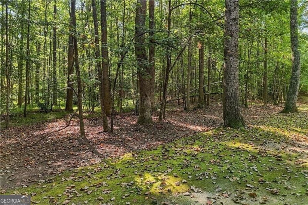 0 Cumming Highway, Canton, GA 30115 — photo 5
