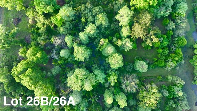 17007 Summerfield South Rd, Prairieville, LA 70769