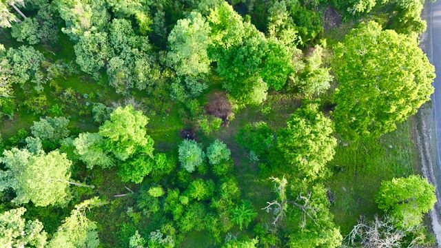 17007 Summerfield South Rd, Prairieville, LA 70769