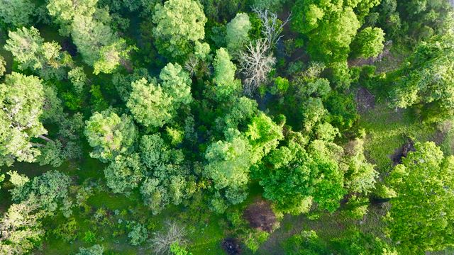 17007 Summerfield South Rd, Prairieville, LA 70769