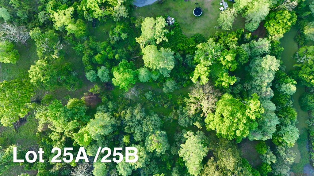 17007 Summerfield South Rd, Prairieville, LA 70769