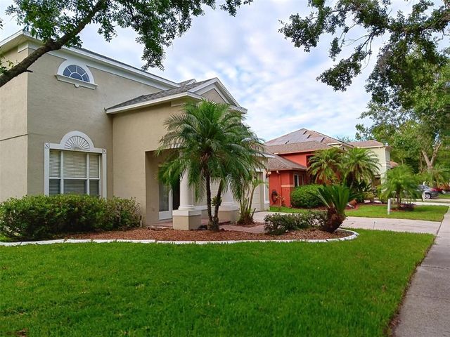 10415 LUCAYA DRIVE, Tampa, FL 33647