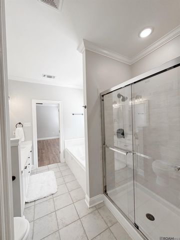 18243 Manchac Place Dr, Prairieville, LA 70769