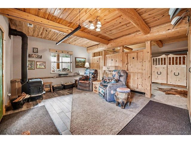 28 Juniper Way, Bailey, CO 80421