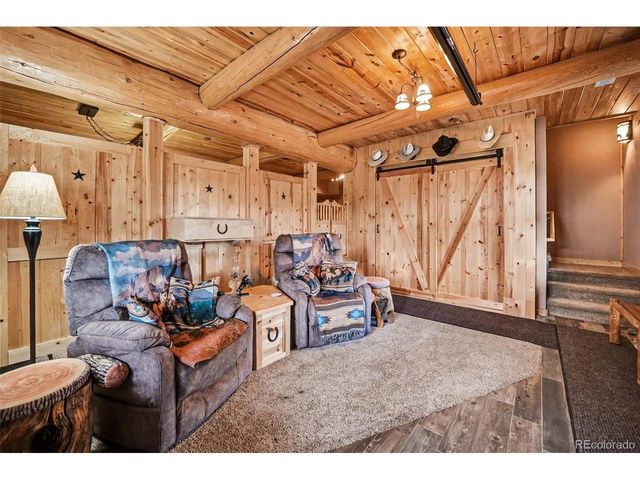 28 Juniper Way, Bailey, CO 80421