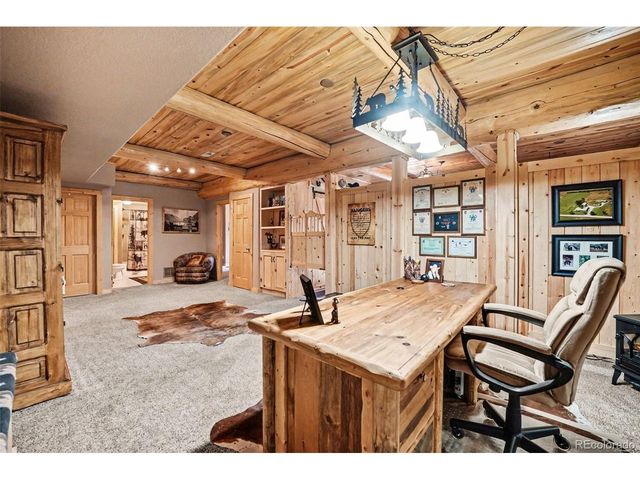28 Juniper Way, Bailey, CO 80421