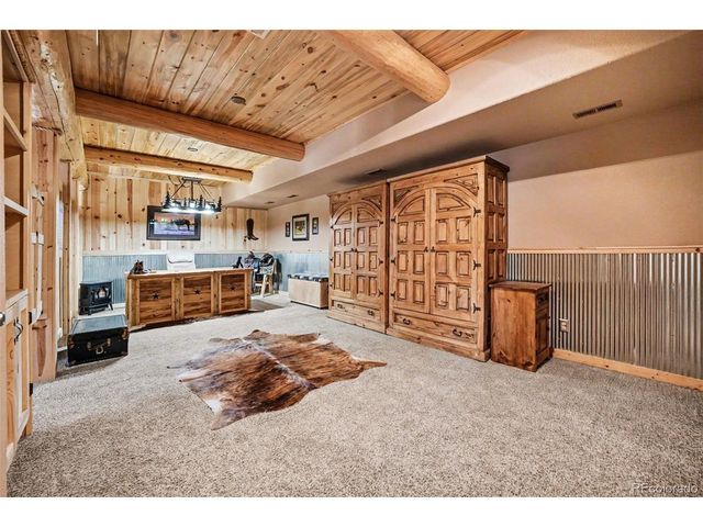 28 Juniper Way, Bailey, CO 80421