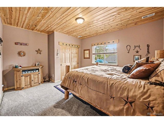 28 Juniper Way, Bailey, CO 80421