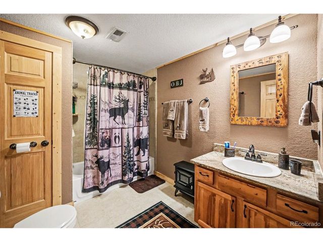 28 Juniper Way, Bailey, CO 80421