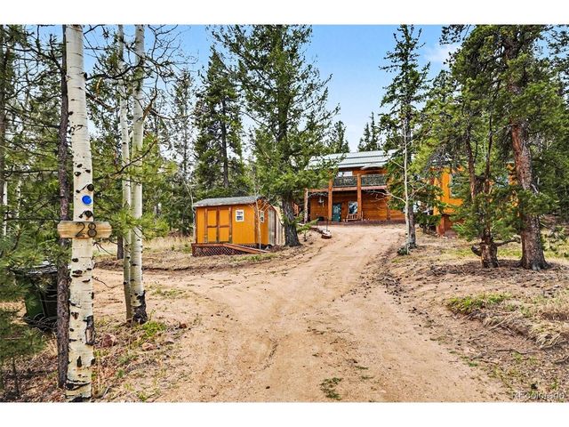 28 Juniper Way, Bailey, CO 80421