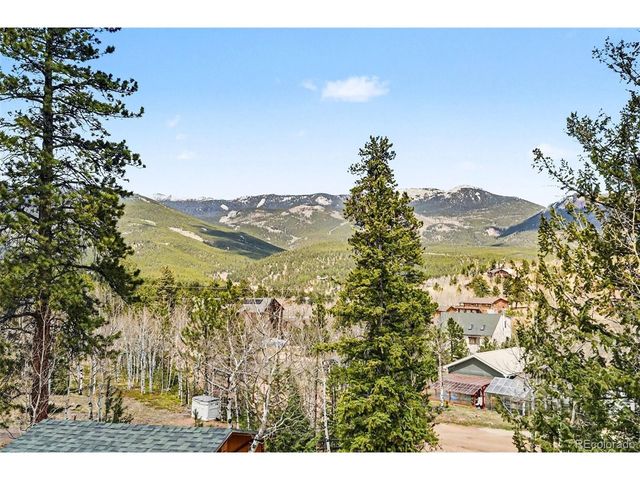28 Juniper Way, Bailey, CO 80421