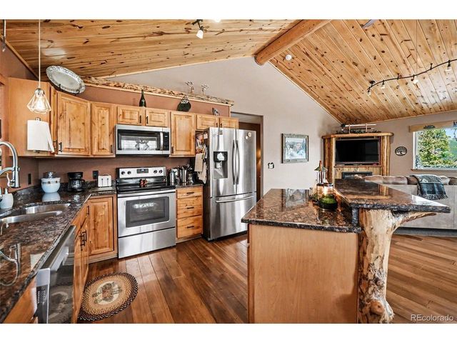 28 Juniper Way, Bailey, CO 80421
