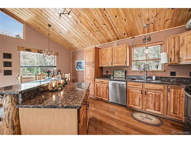 28 Juniper Way, Bailey, CO 80421