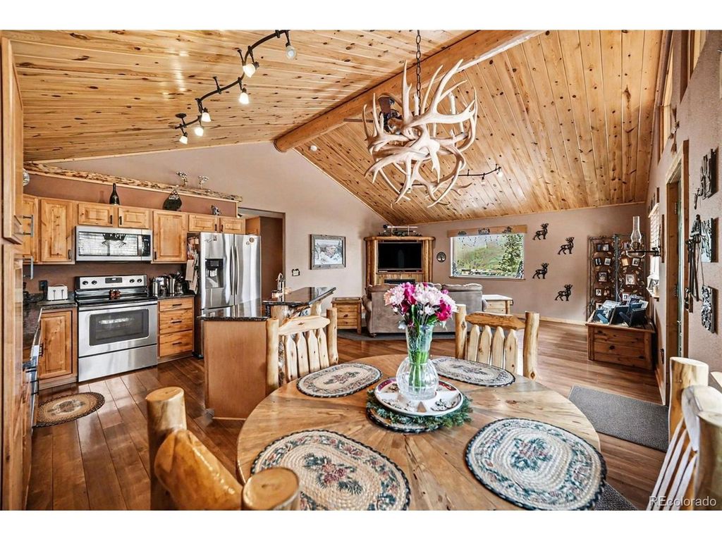 28 Juniper Way, Bailey, CO 80421