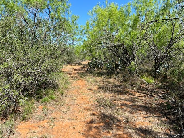 0 Carroll Road, Dilley, TX 78017